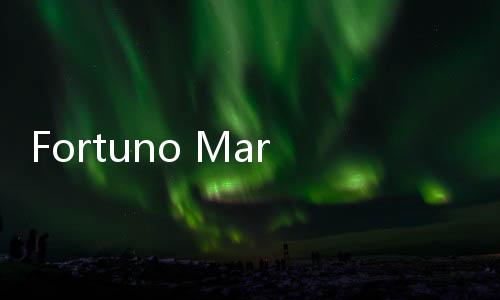 Fortuno Markets, Solusi Aplikasi Trading untuk Pemula